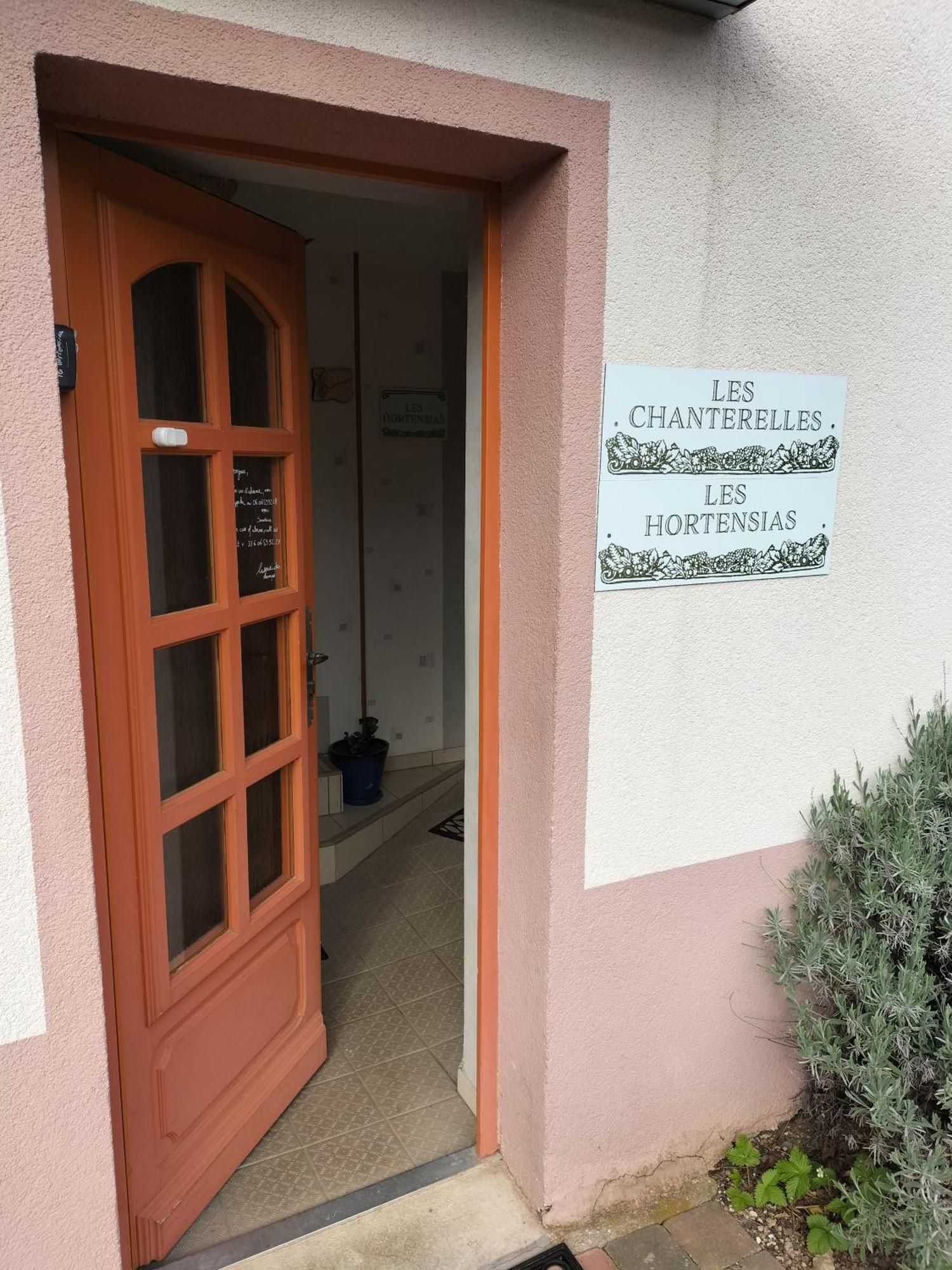 Les Hortensias La Souris Des Champs Etival-Clairefontaine Luaran gambar