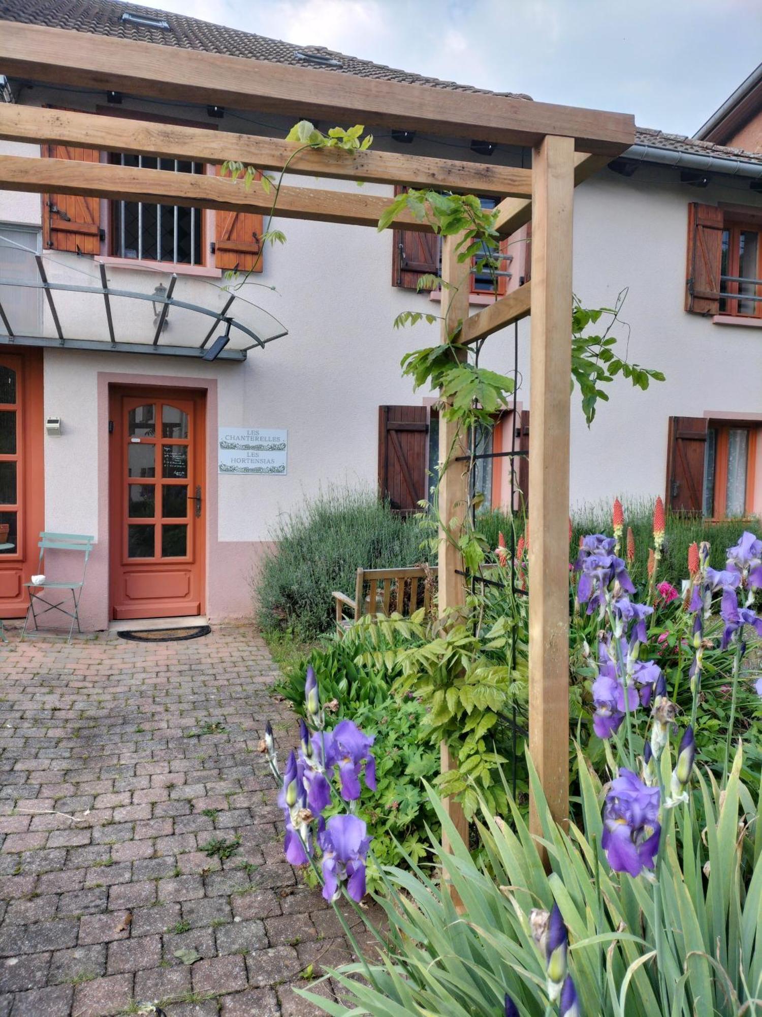 Les Hortensias La Souris Des Champs Etival-Clairefontaine Luaran gambar